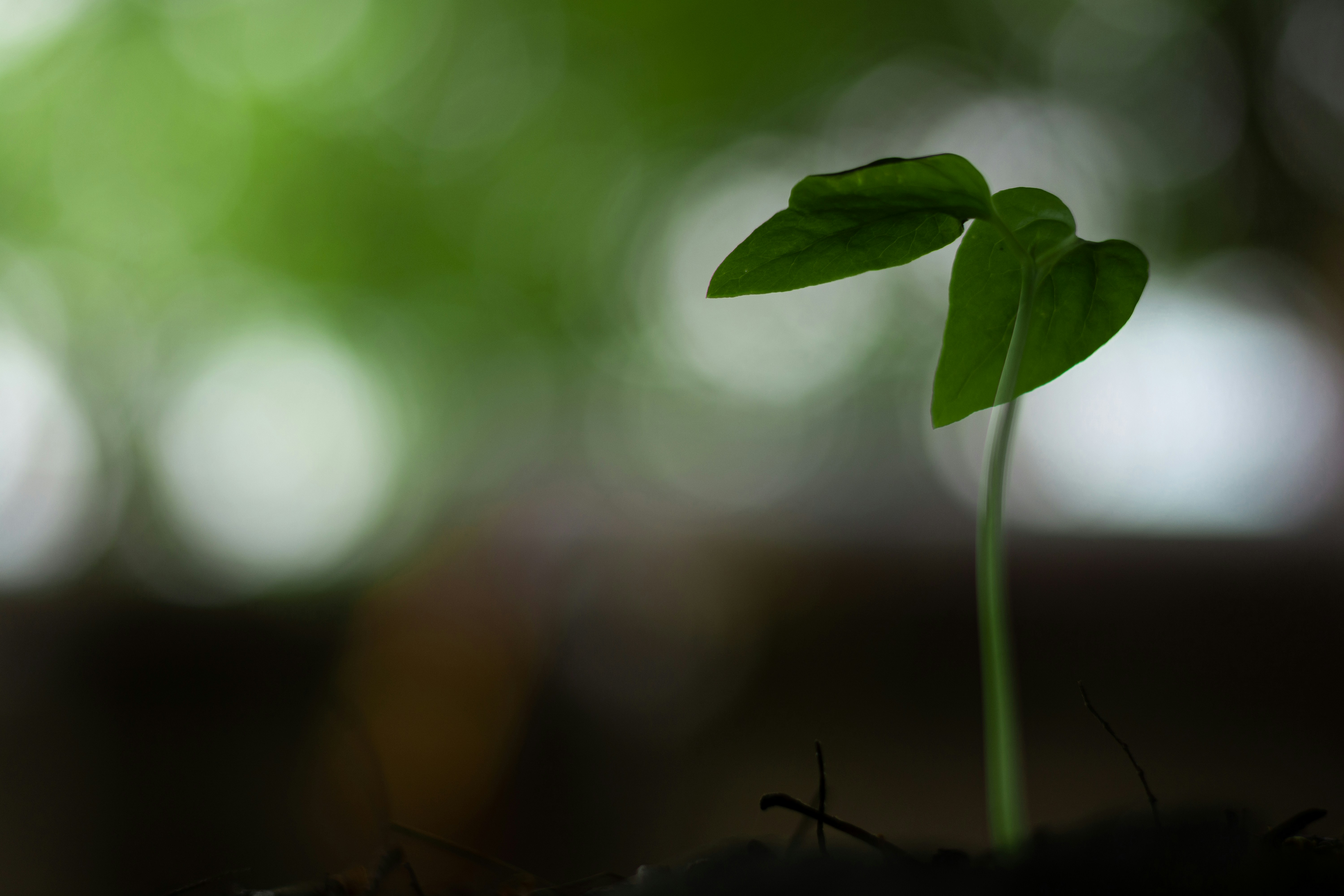 Photo by darshan_gavali