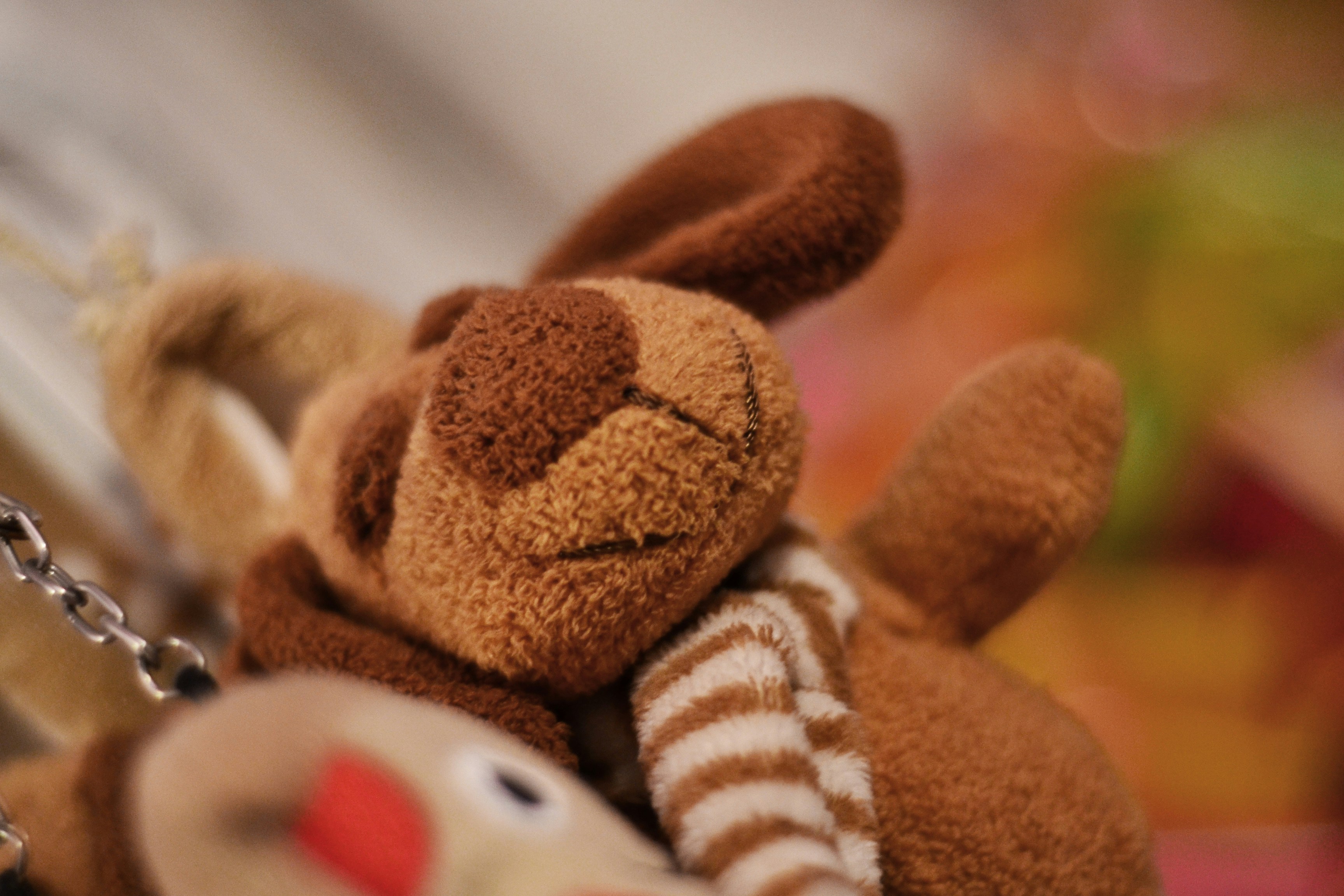 Adorable Stuffed Teddy Bear