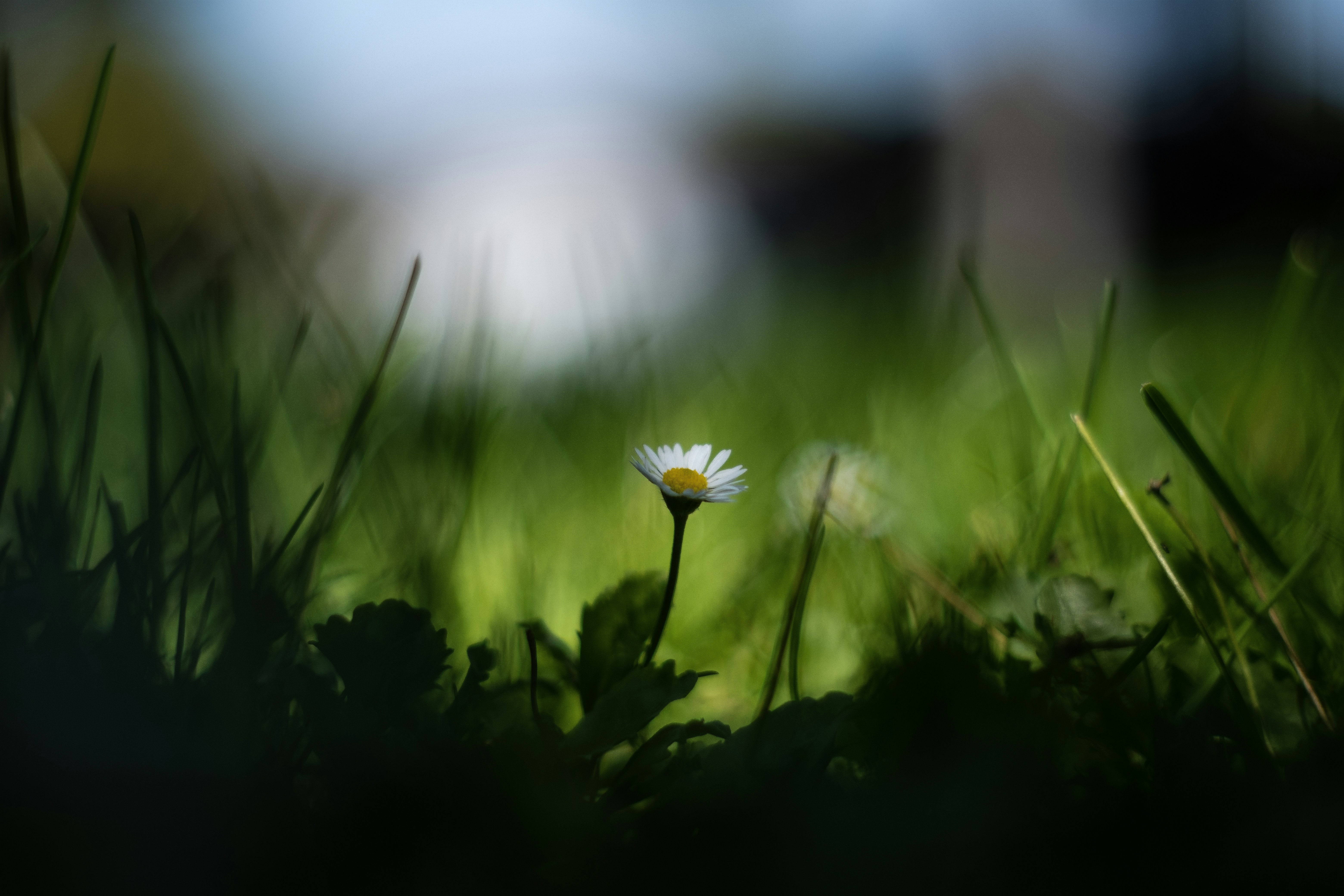 Photo by dwaynebadua