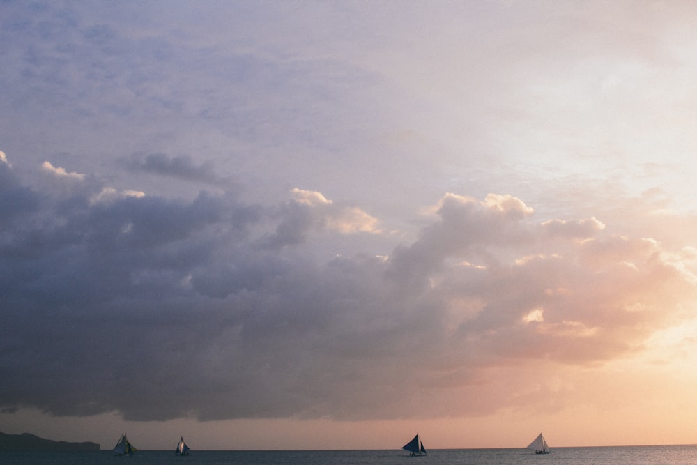 silhouette of people on beach during sunset