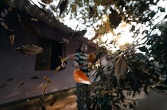 Close-up of a leaf removal in progress, showing a rake gathering colorful autumn leaves.