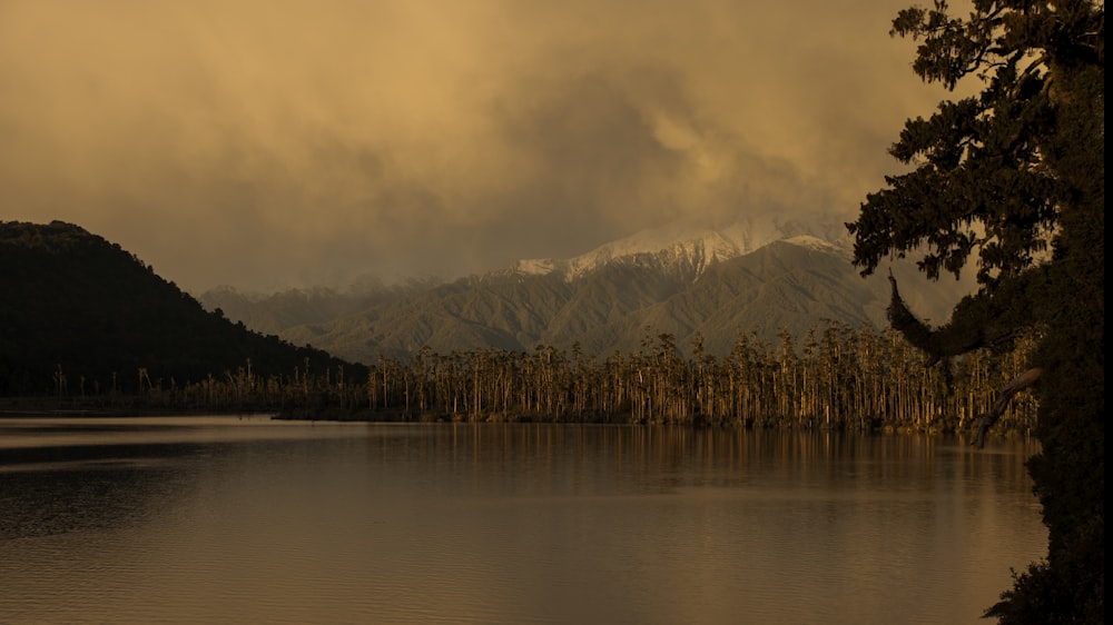 body of water near trees and mountain during daytime