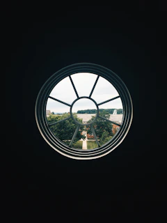 Bright window view of a peaceful neighborhood near campus
