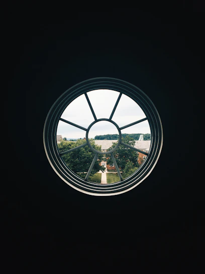 Bright and spotless window reflecting a sunny San Francisco Bay neighborhood.