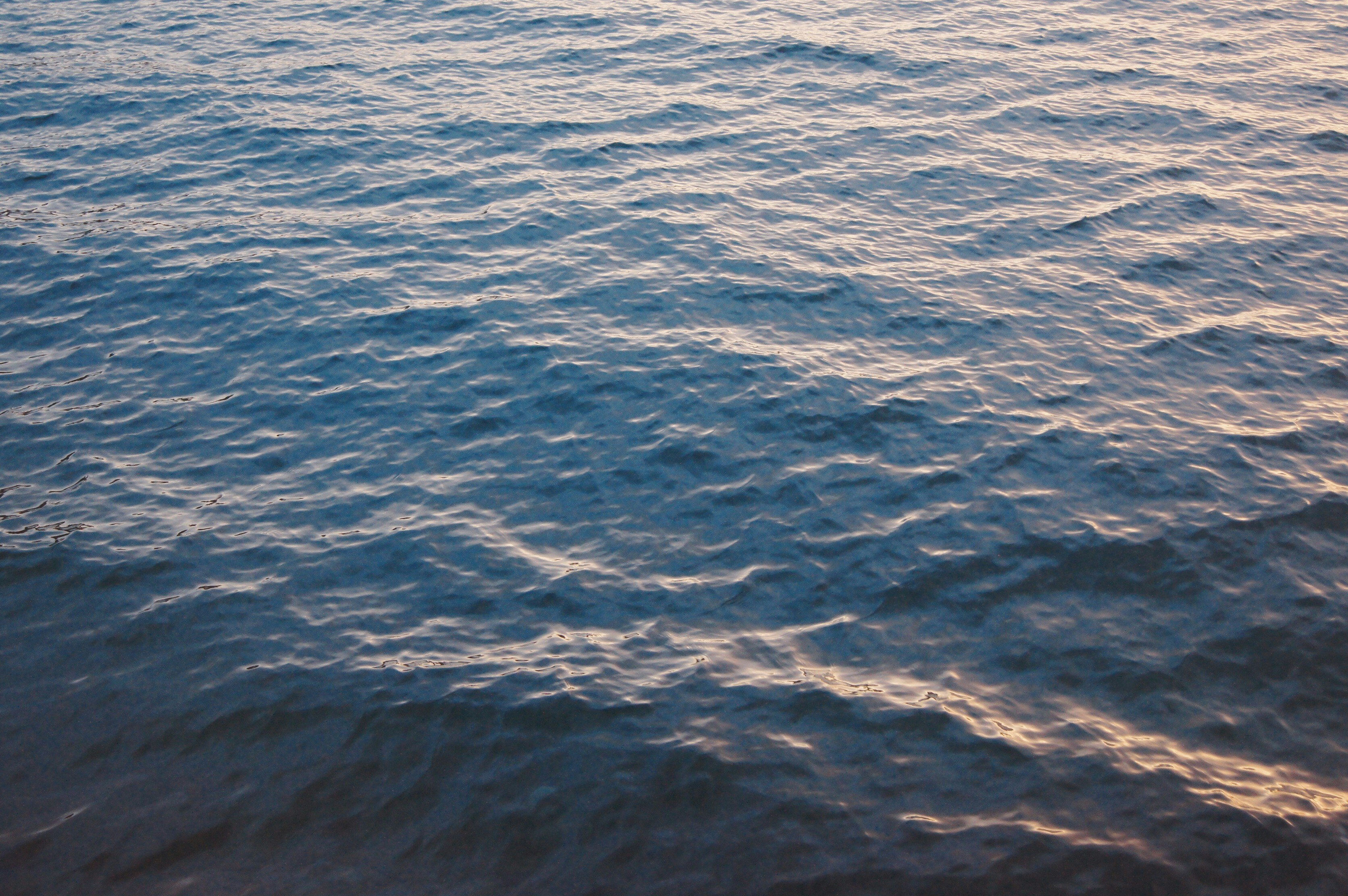 Photo by nicoleashleyrd