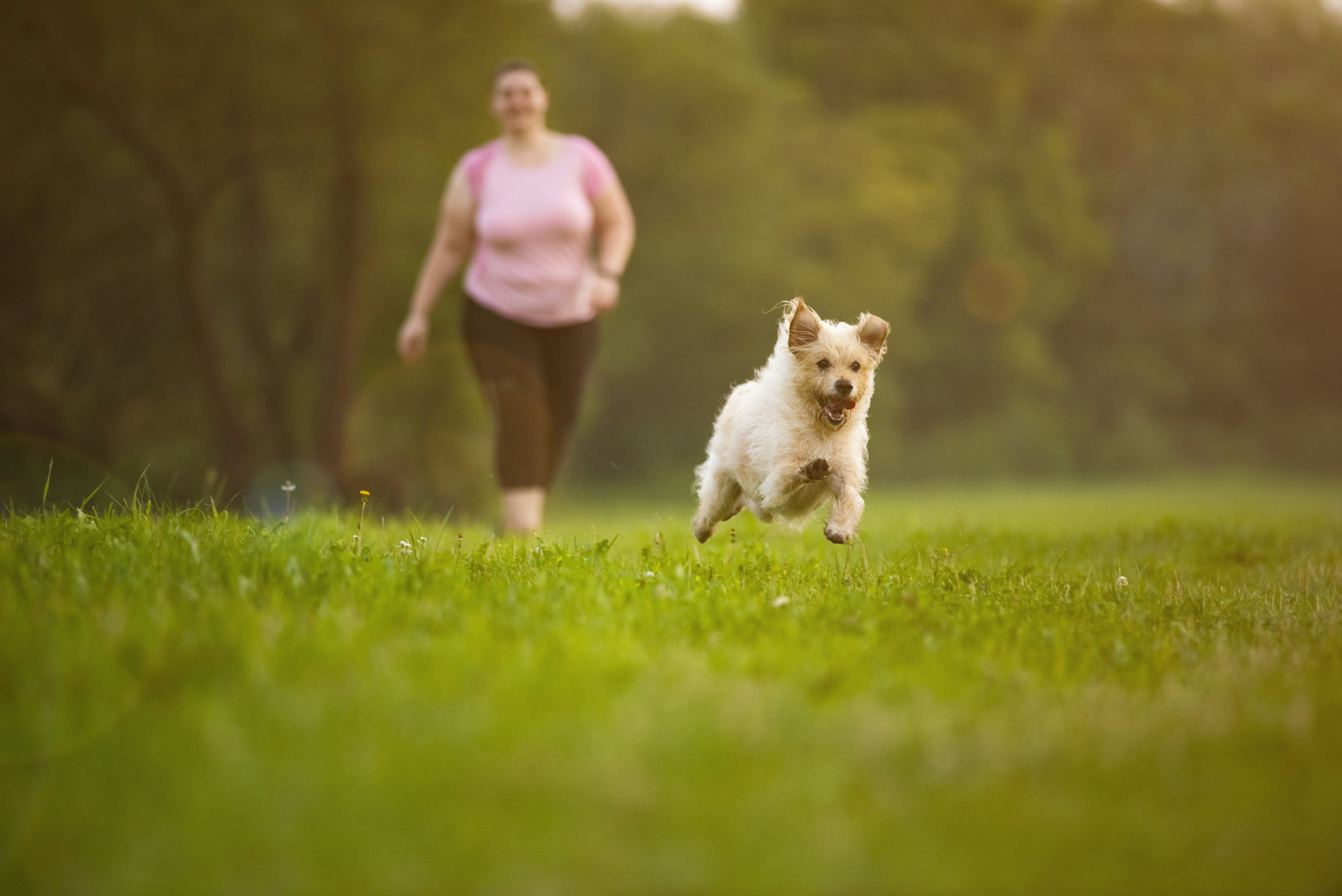 woman in pink shirt and pink shorts running on green grass field during daytime