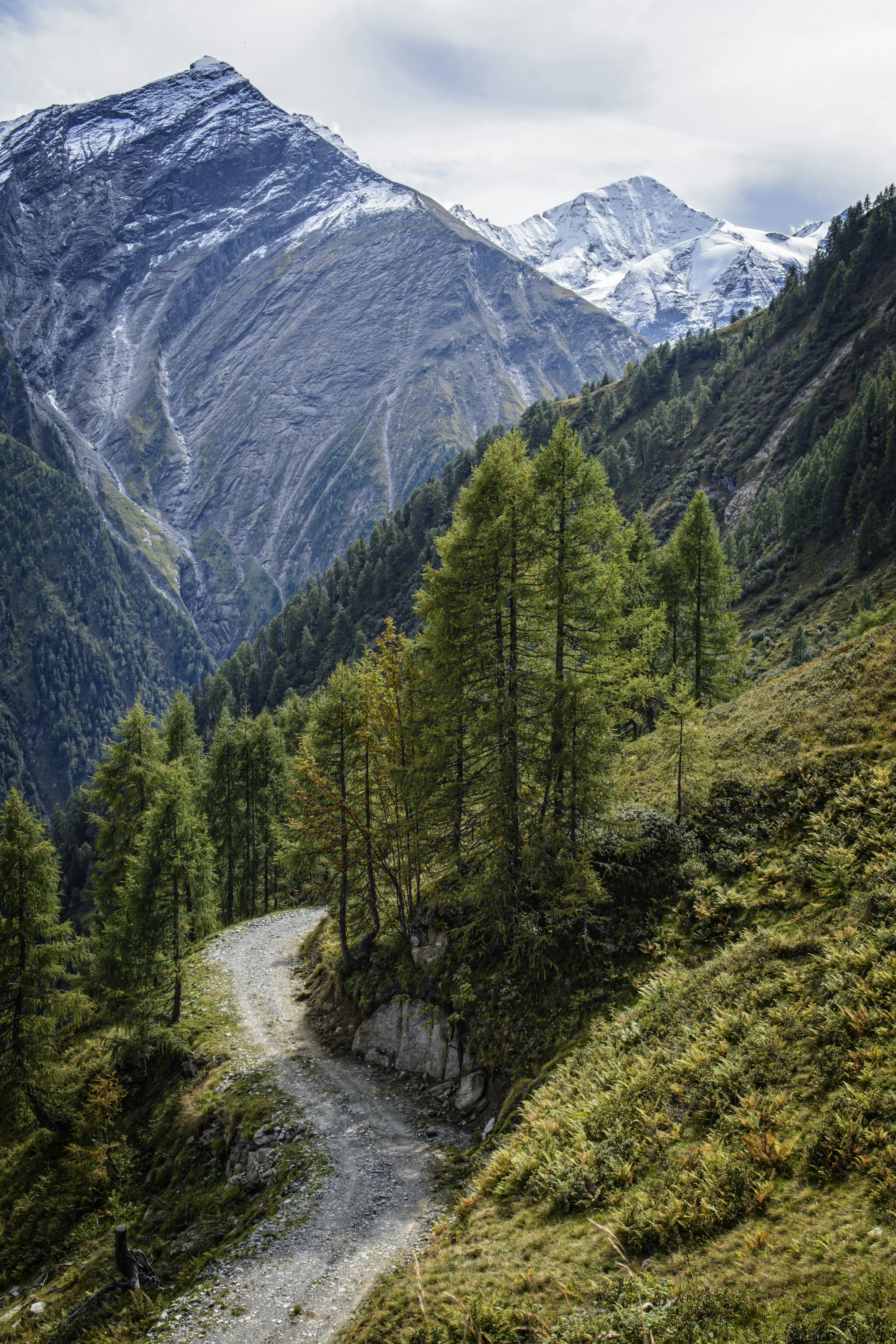 Photo by tukacszoltan1984