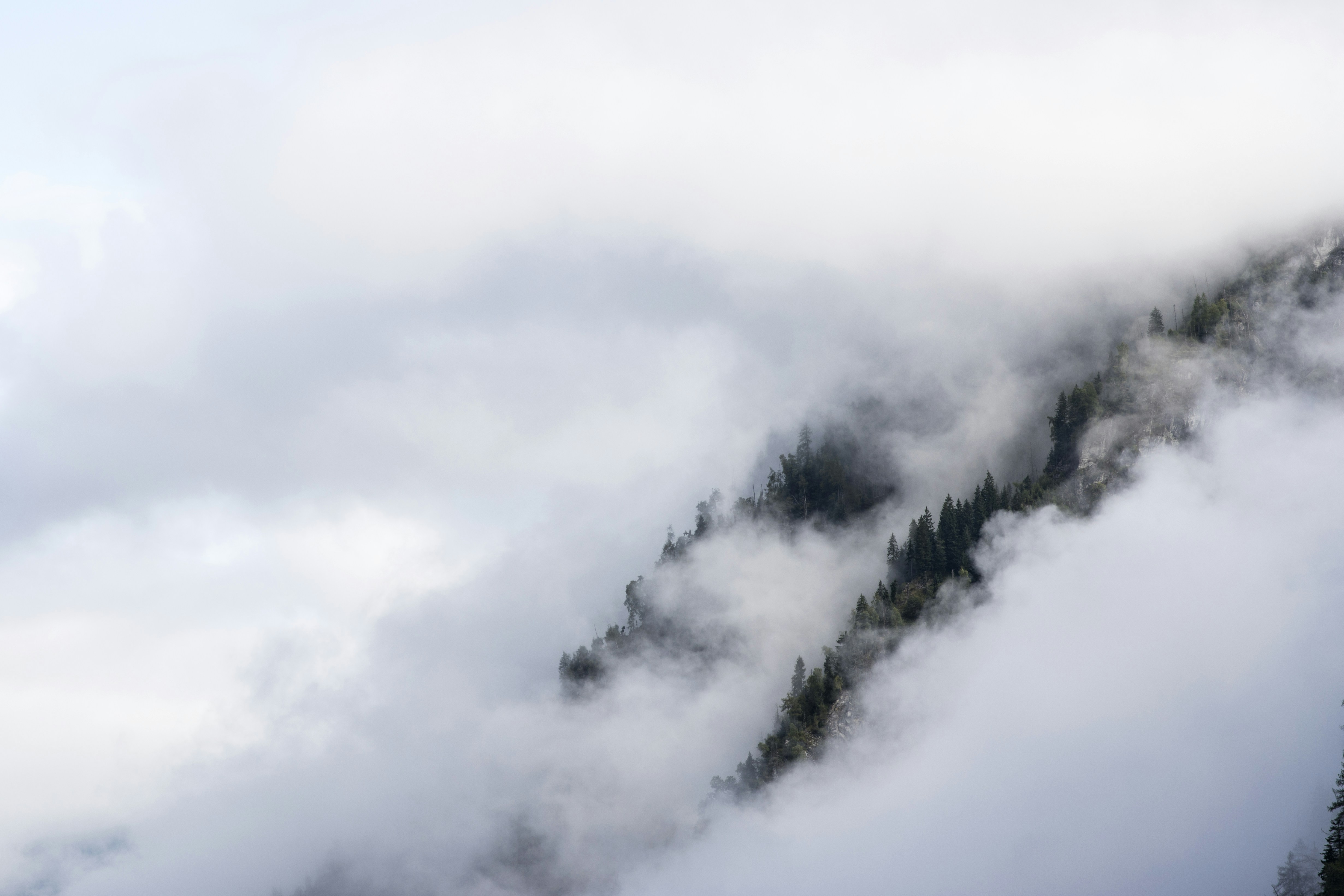 Photo by tukacszoltan1984