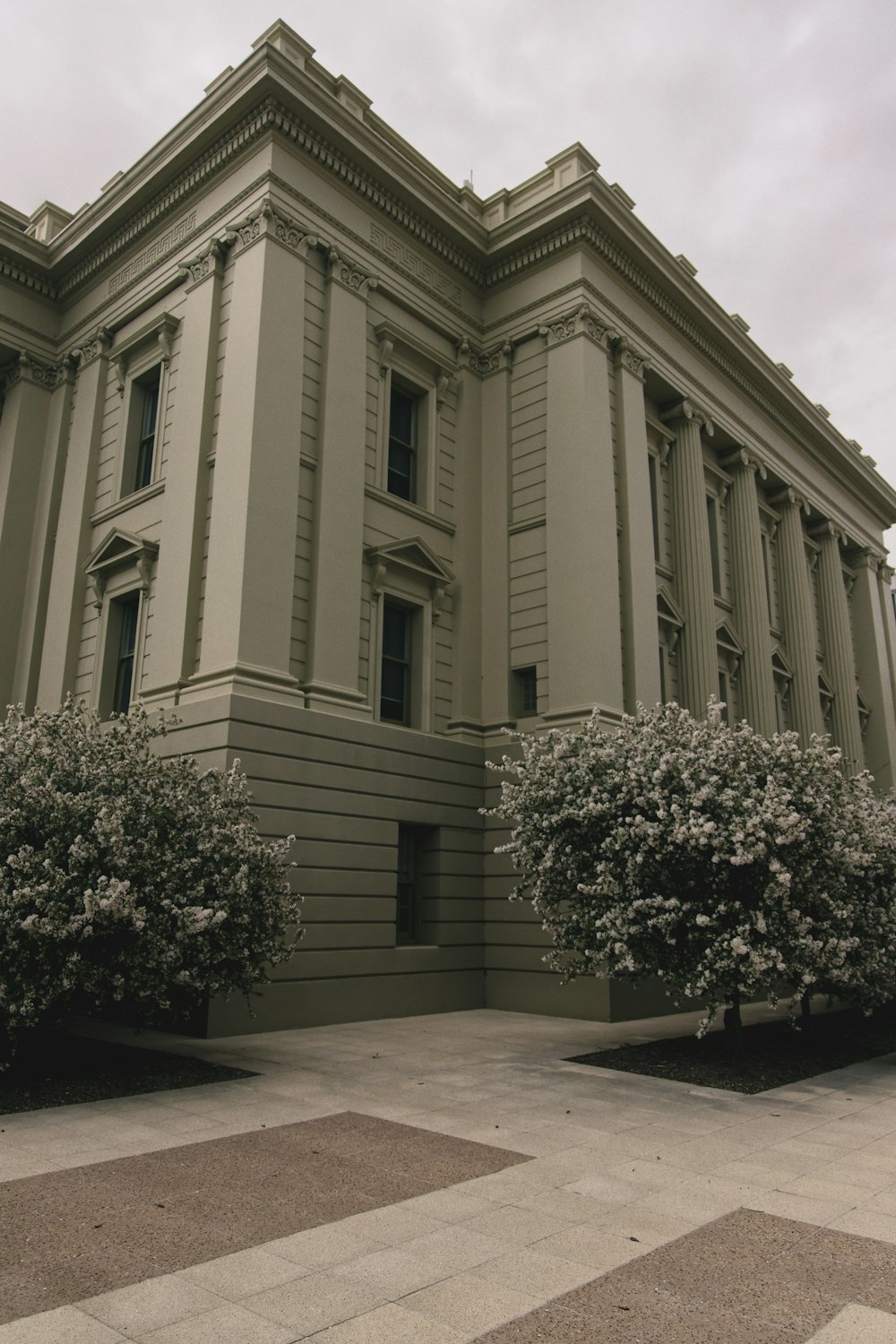 white concrete building with green trees on the side