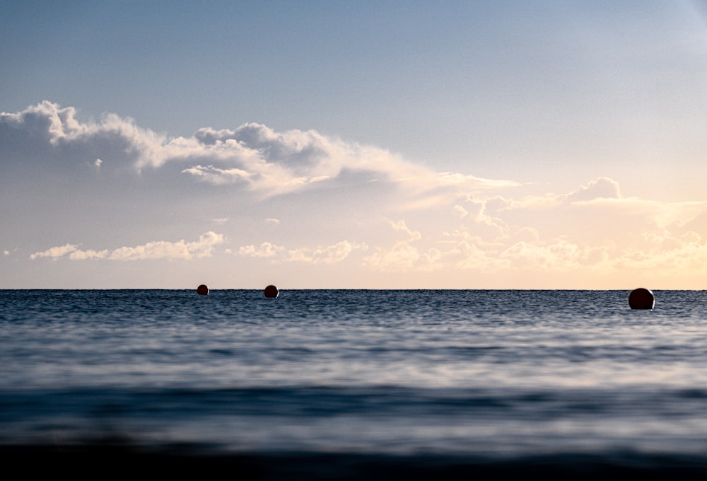 person in body of water during daytime