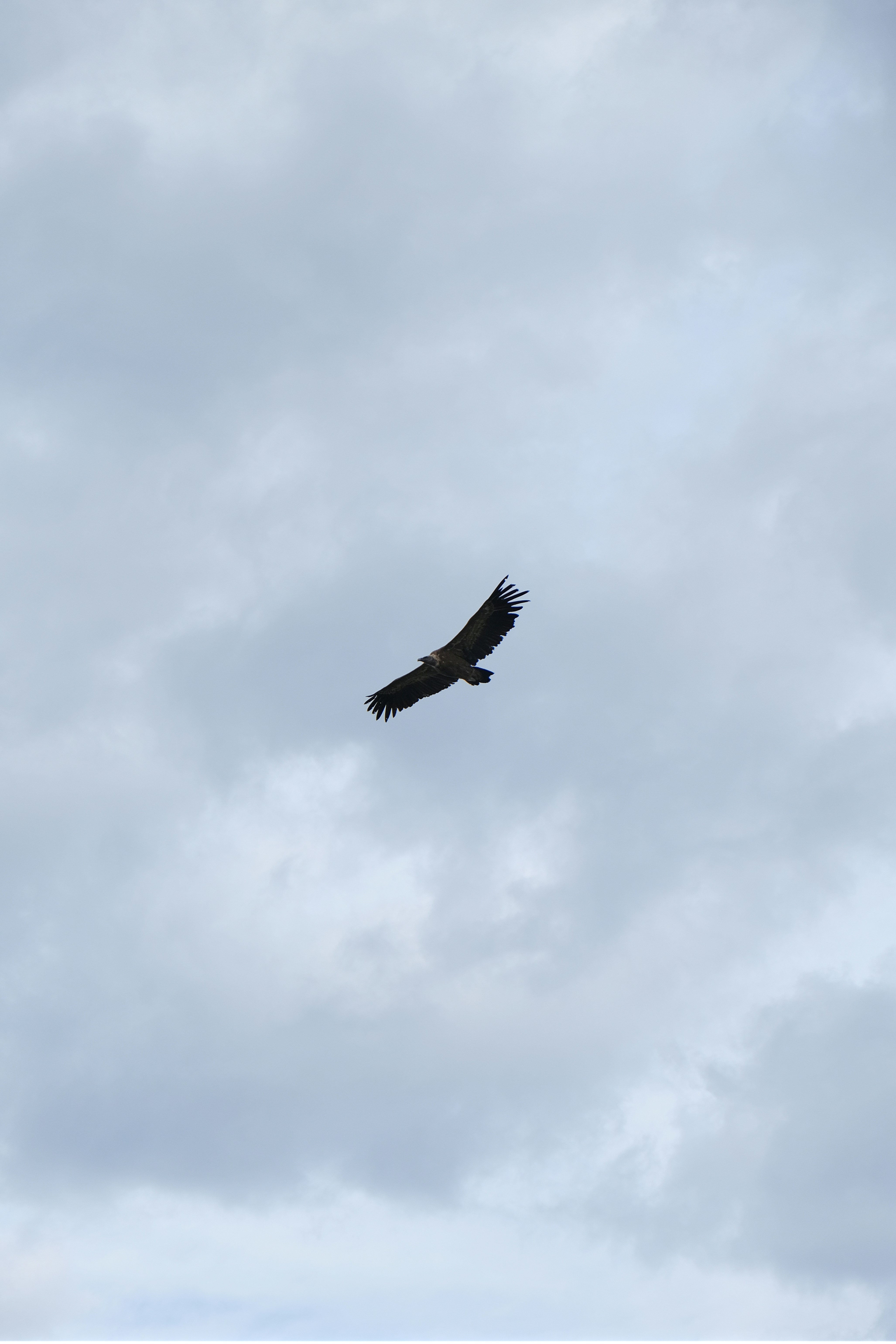 Photo by damiendufourphotographie