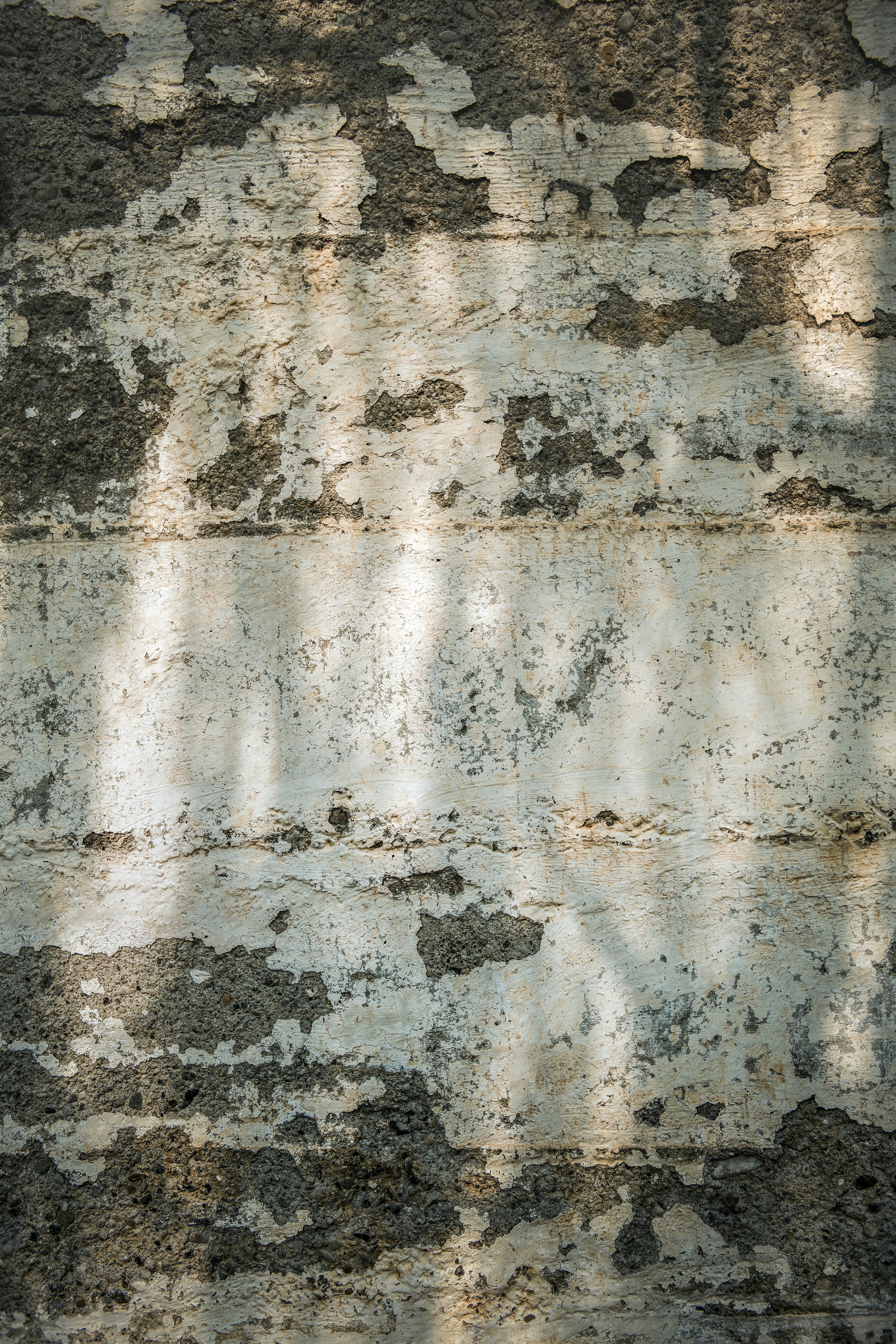 Photo by timmossholder