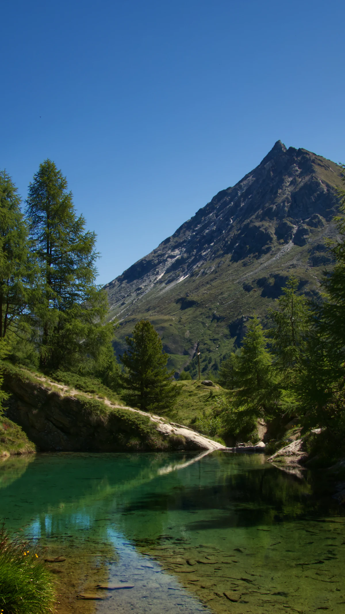 A clear green lake among larches near Arolla, up the valley from Evolène and off the course, under a rocky peak