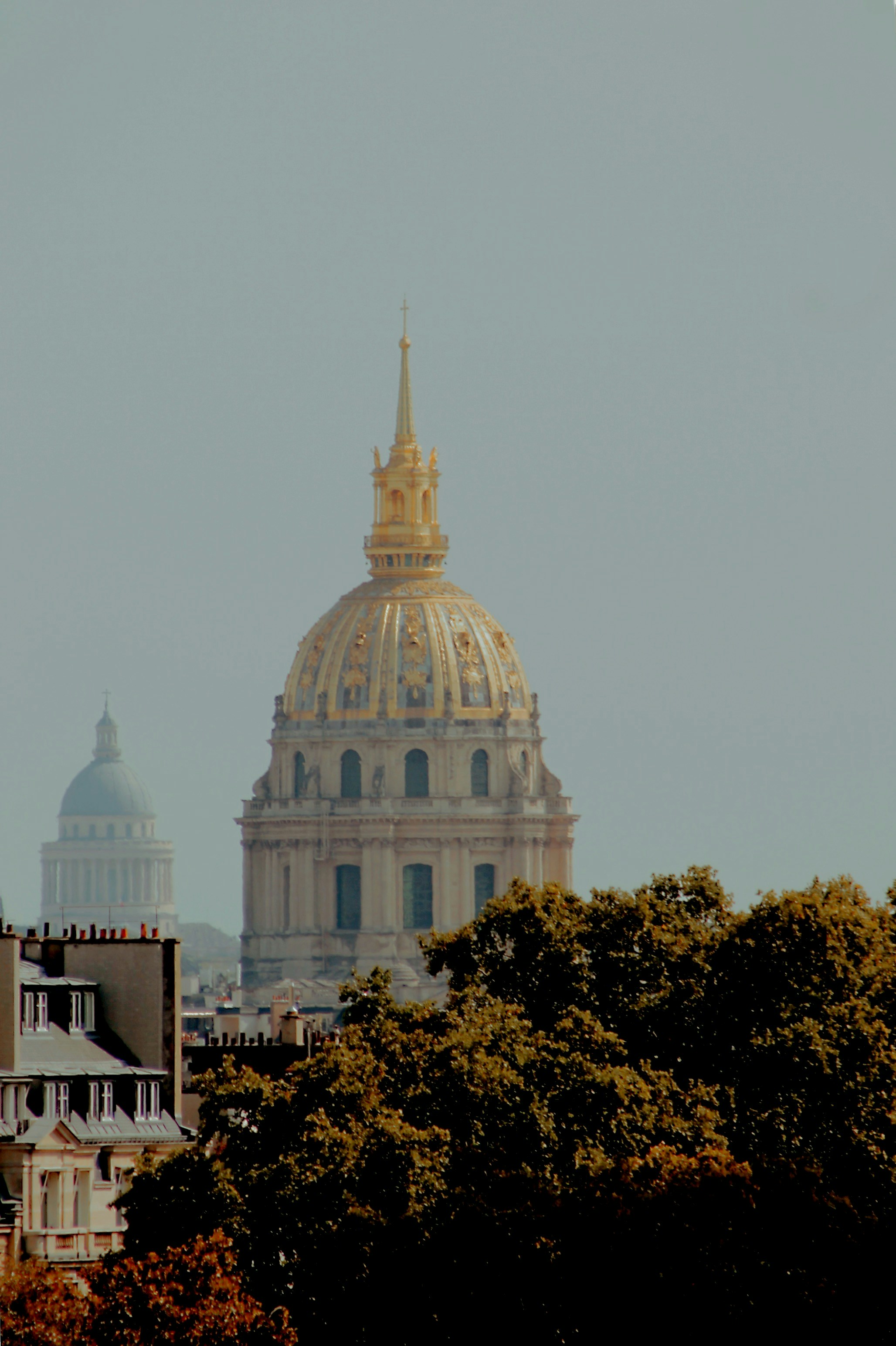 Photo by dariussssss