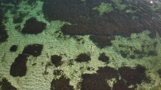 A person lies relaxed on their back in clear, shallow water surrounded by patches of dark green seaweed. The sunlight creates intricate patterns on the sandy sea floor.