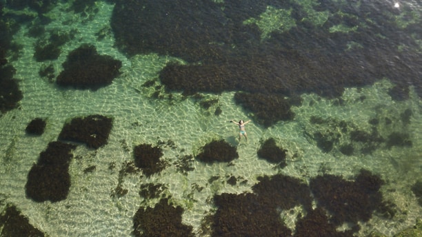 A person lies relaxed on their back in clear, shallow water surrounded by patches of dark green seaweed. The sunlight creates intricate patterns on the sandy sea floor.