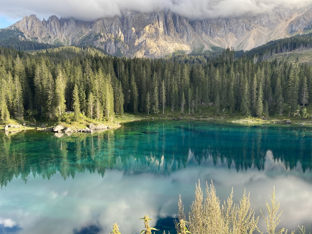 green pine trees near lake and snow covered mountain during daytime