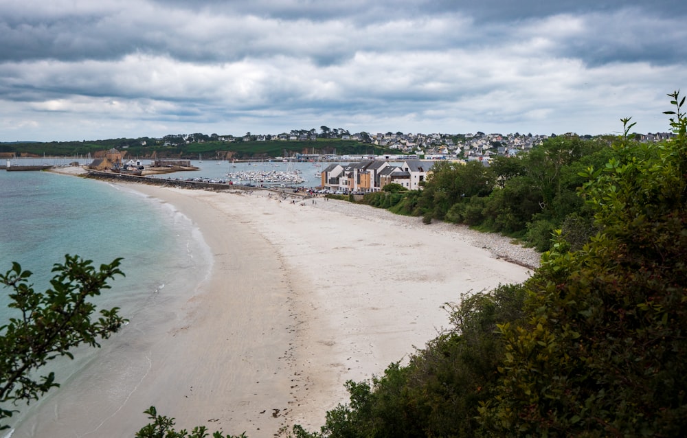 people on beach during daytime