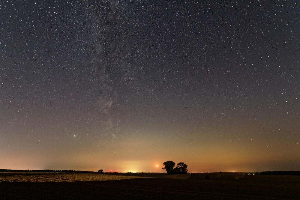silhouette of trees on brown field under starry night