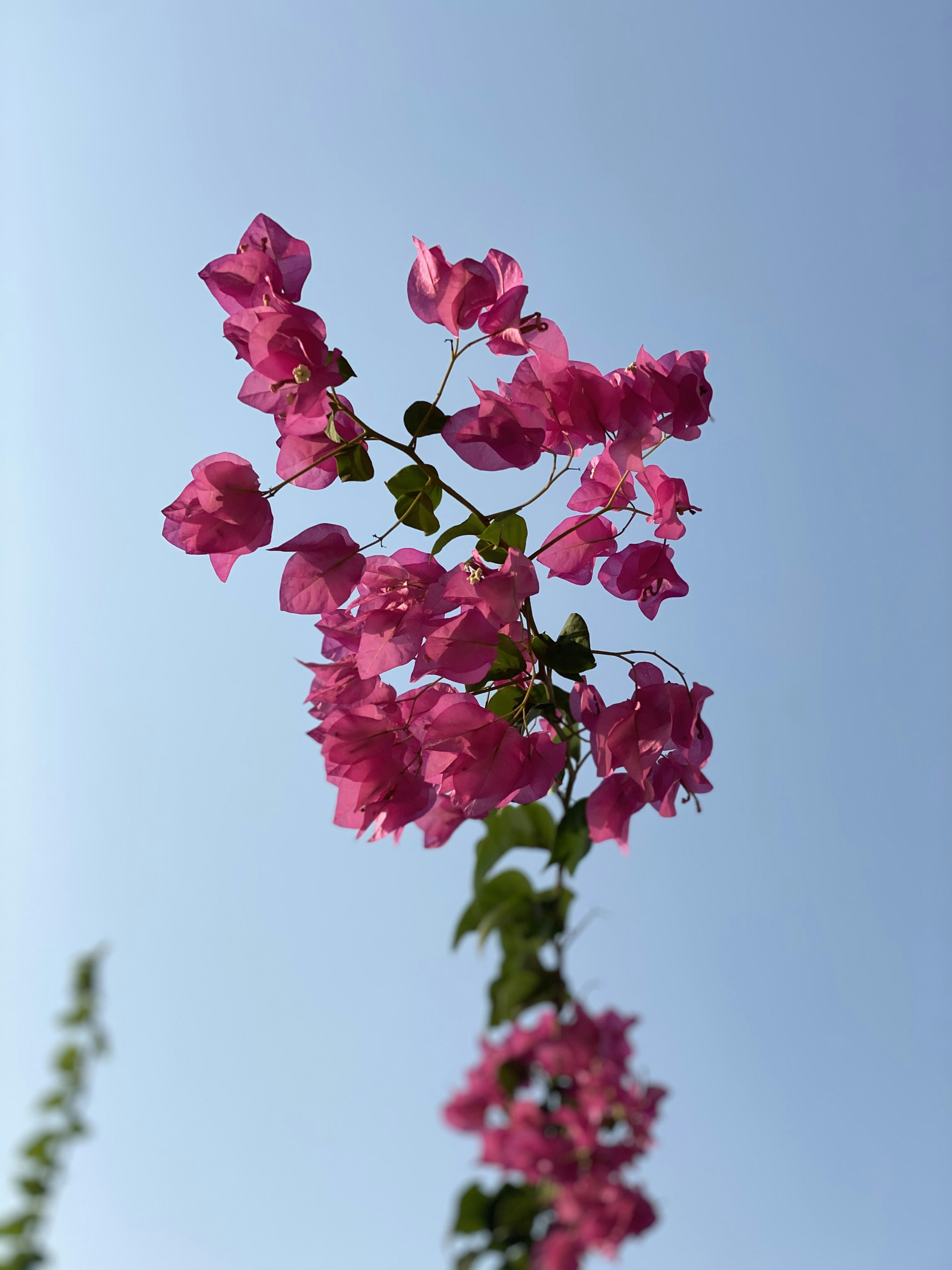 Photo by osama_alrowhani