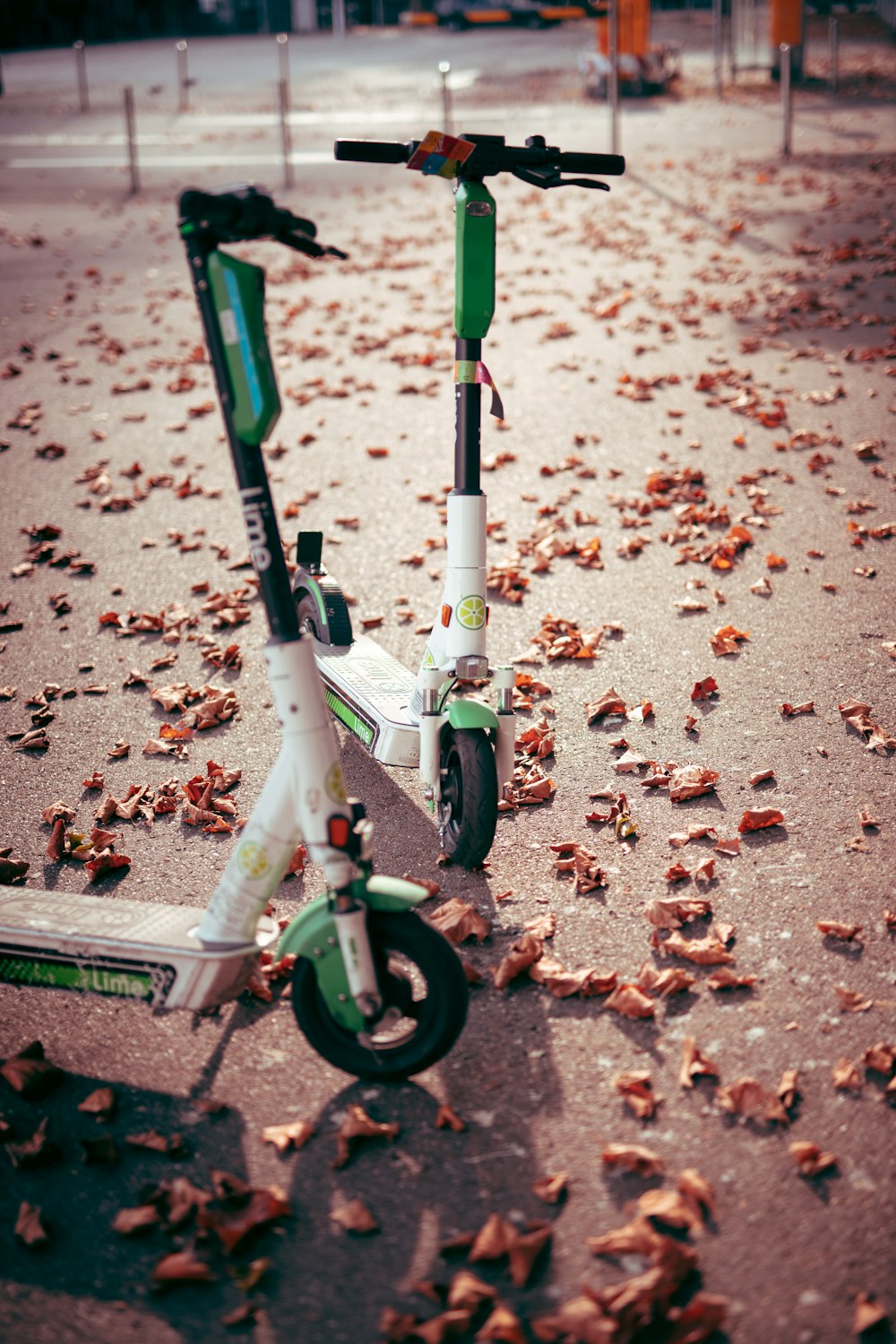 green and white bicycle with dried leaves on the ground