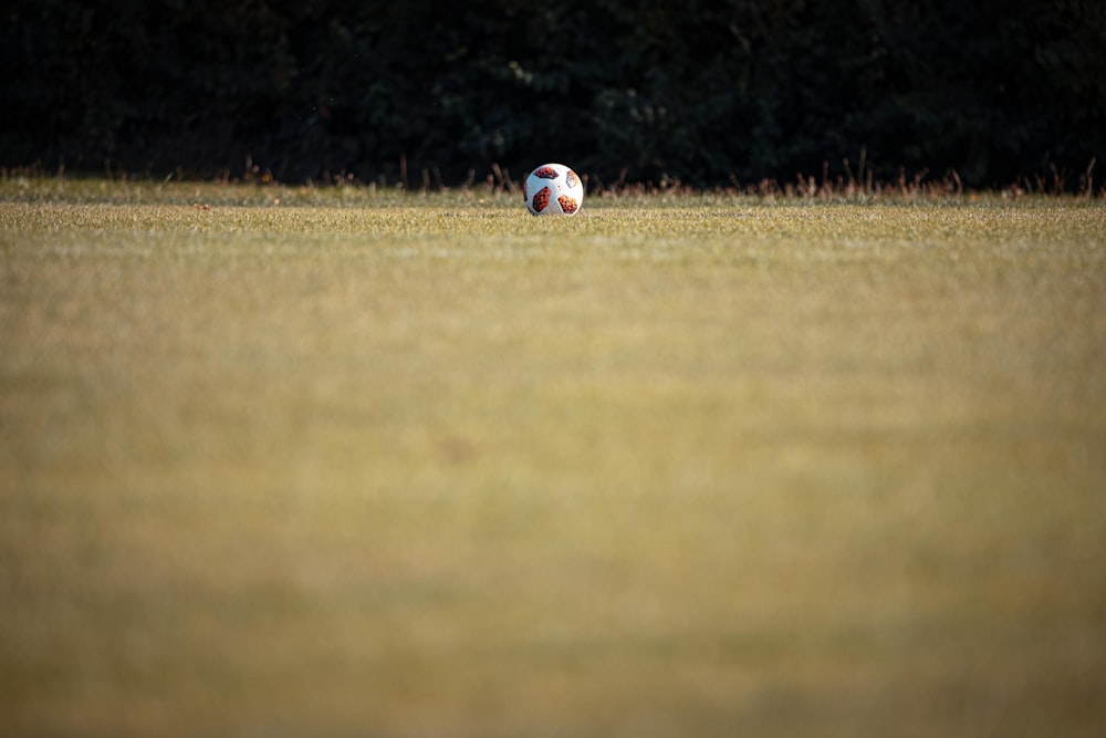 white blue and red soccer ball on green grass field during daytime