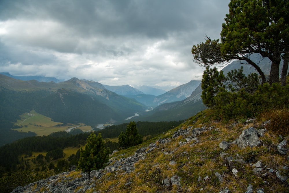 green trees on mountain under cloudy sky during daytime