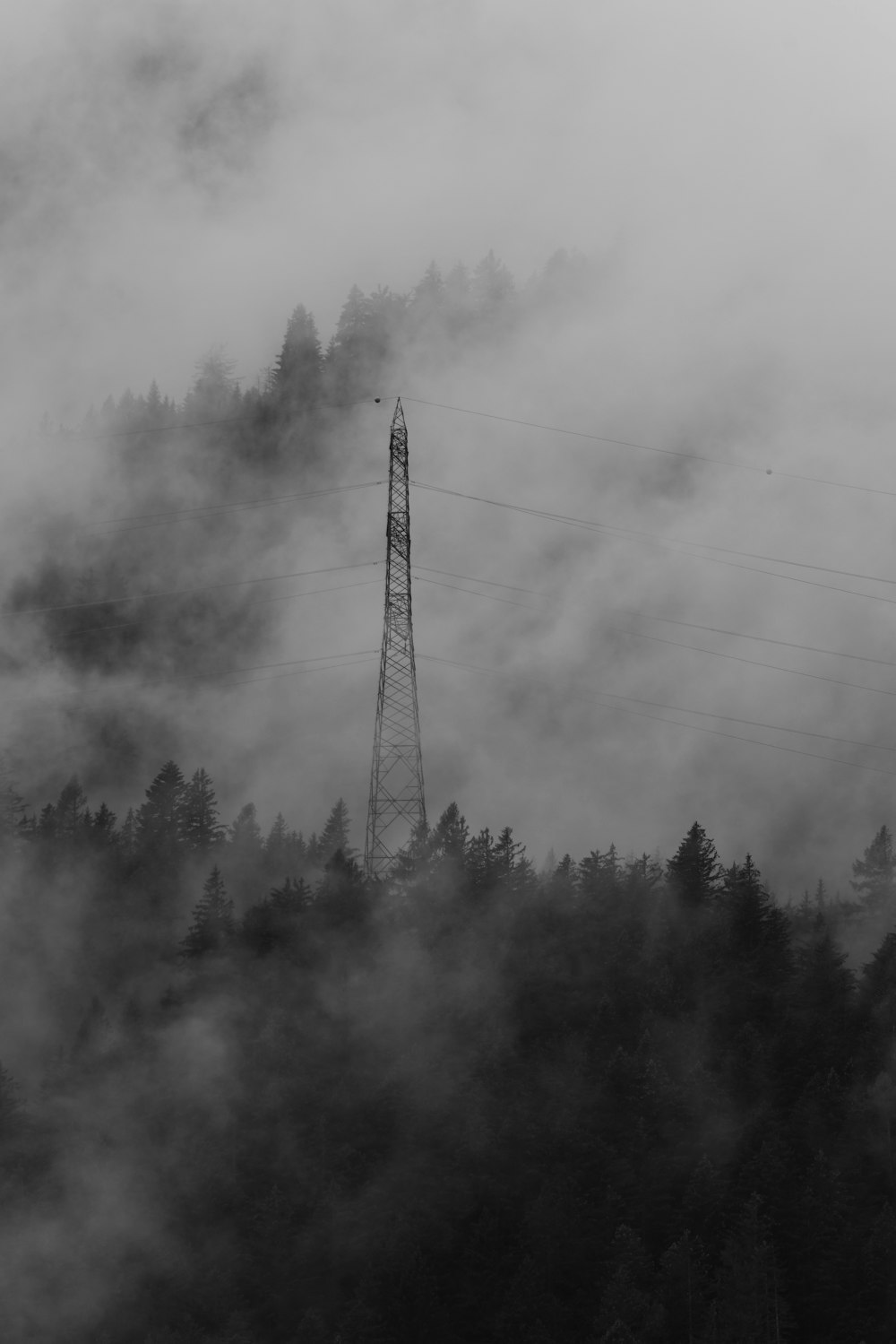 grayscale photo of trees under cloudy sky