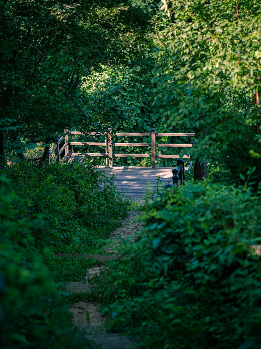 brown wooden fence near green trees during daytime