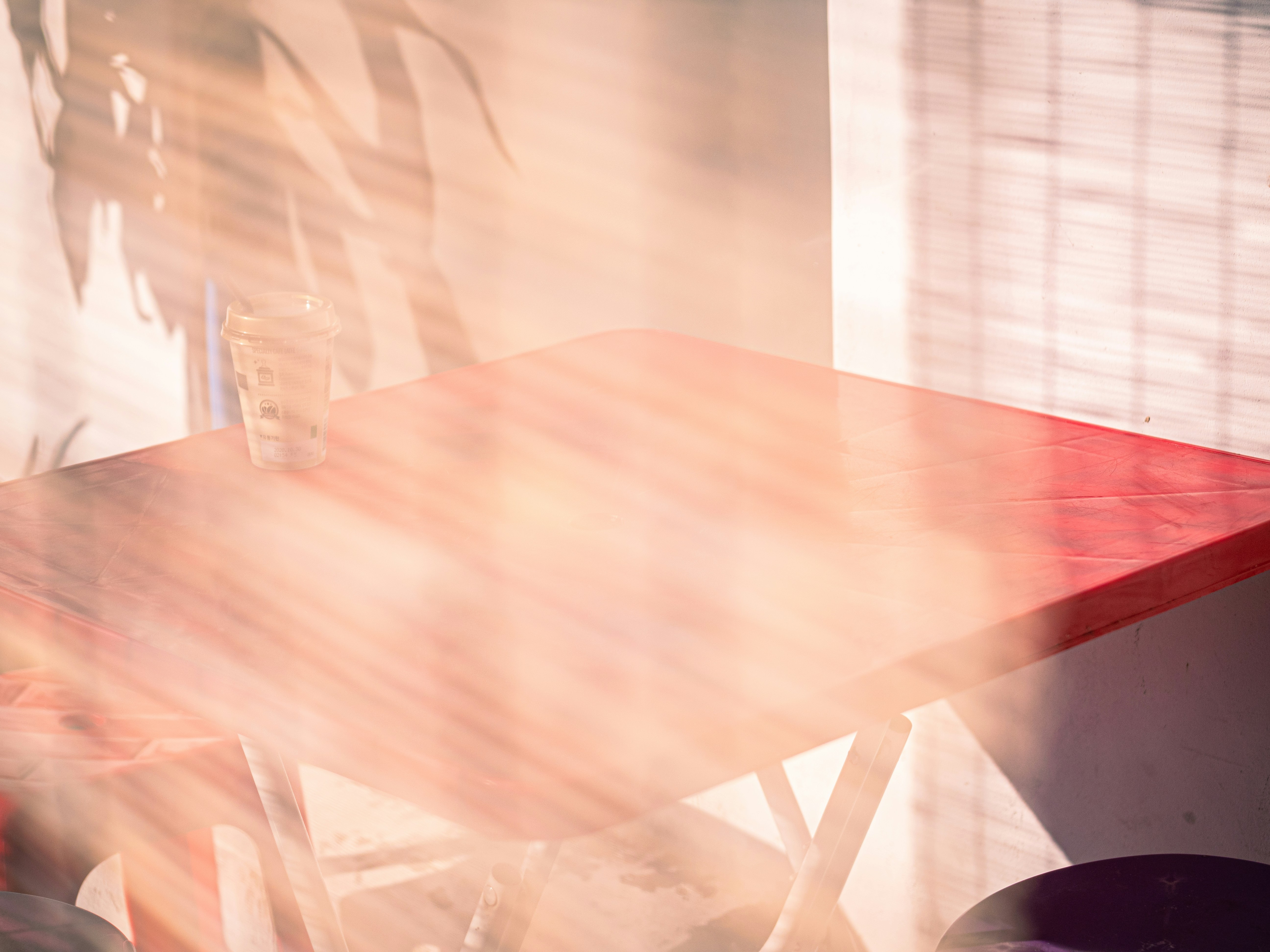 Photo by brother_yoon