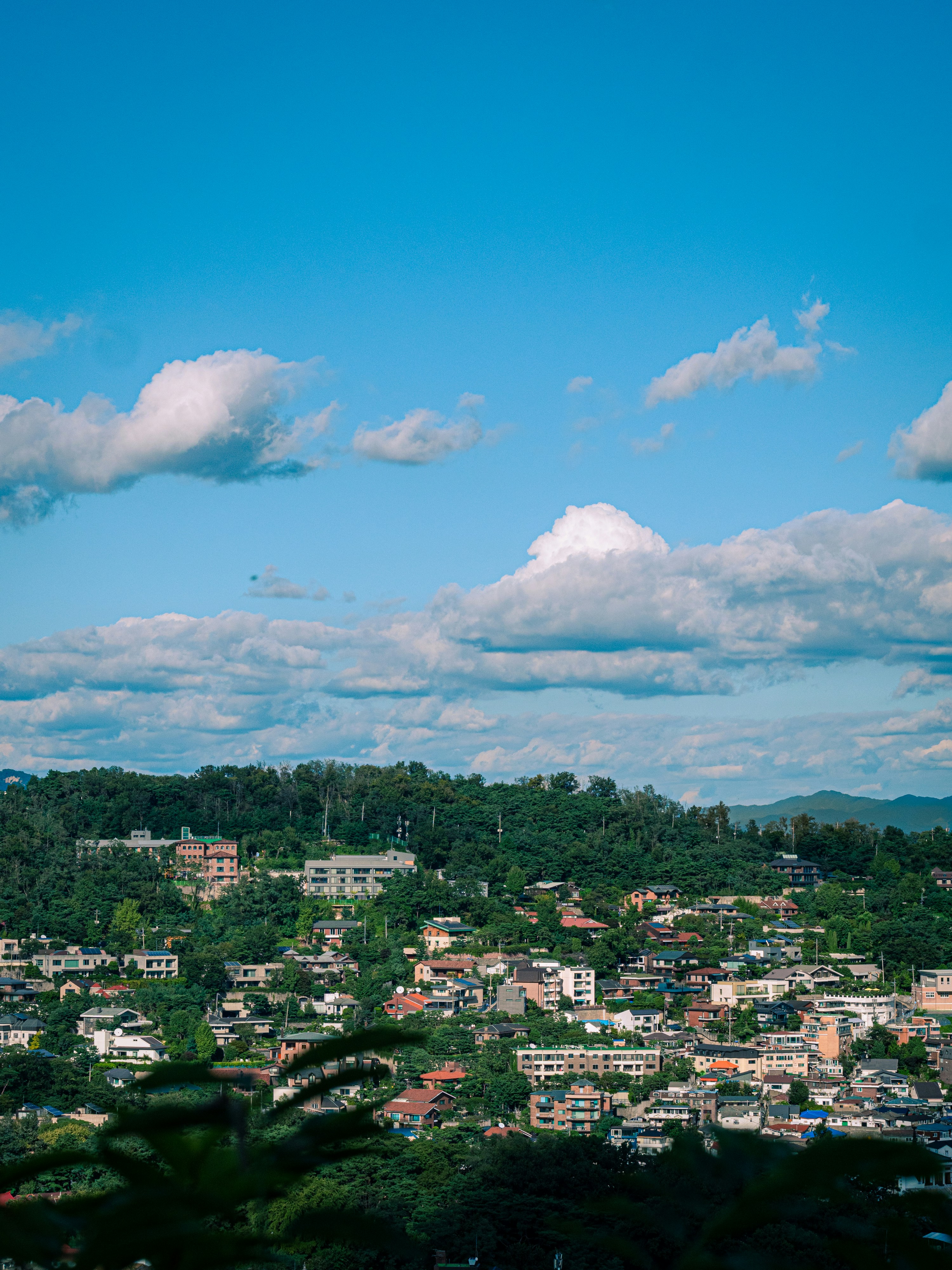 Photo by brother_yoon