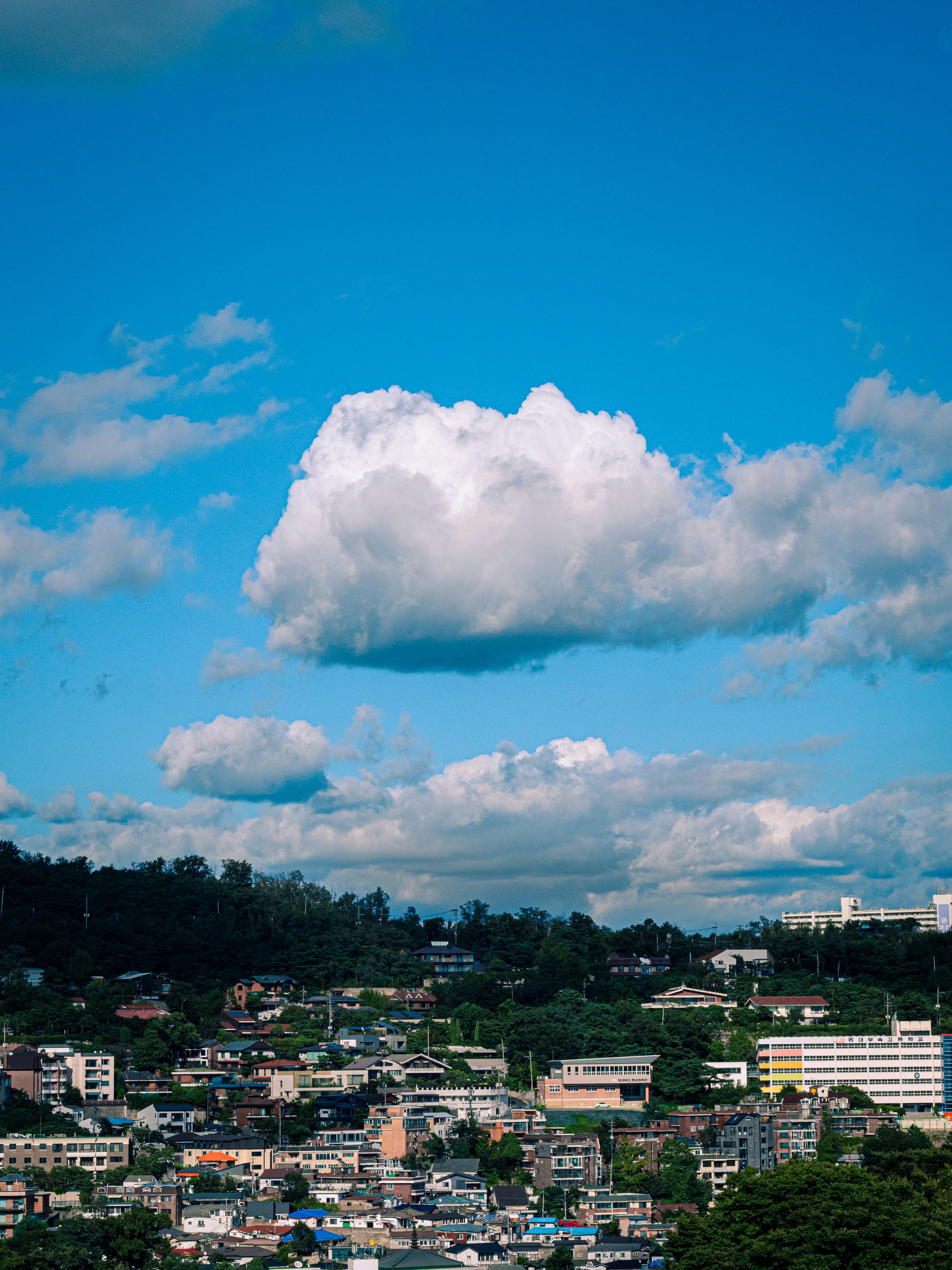 Photo by brother_yoon