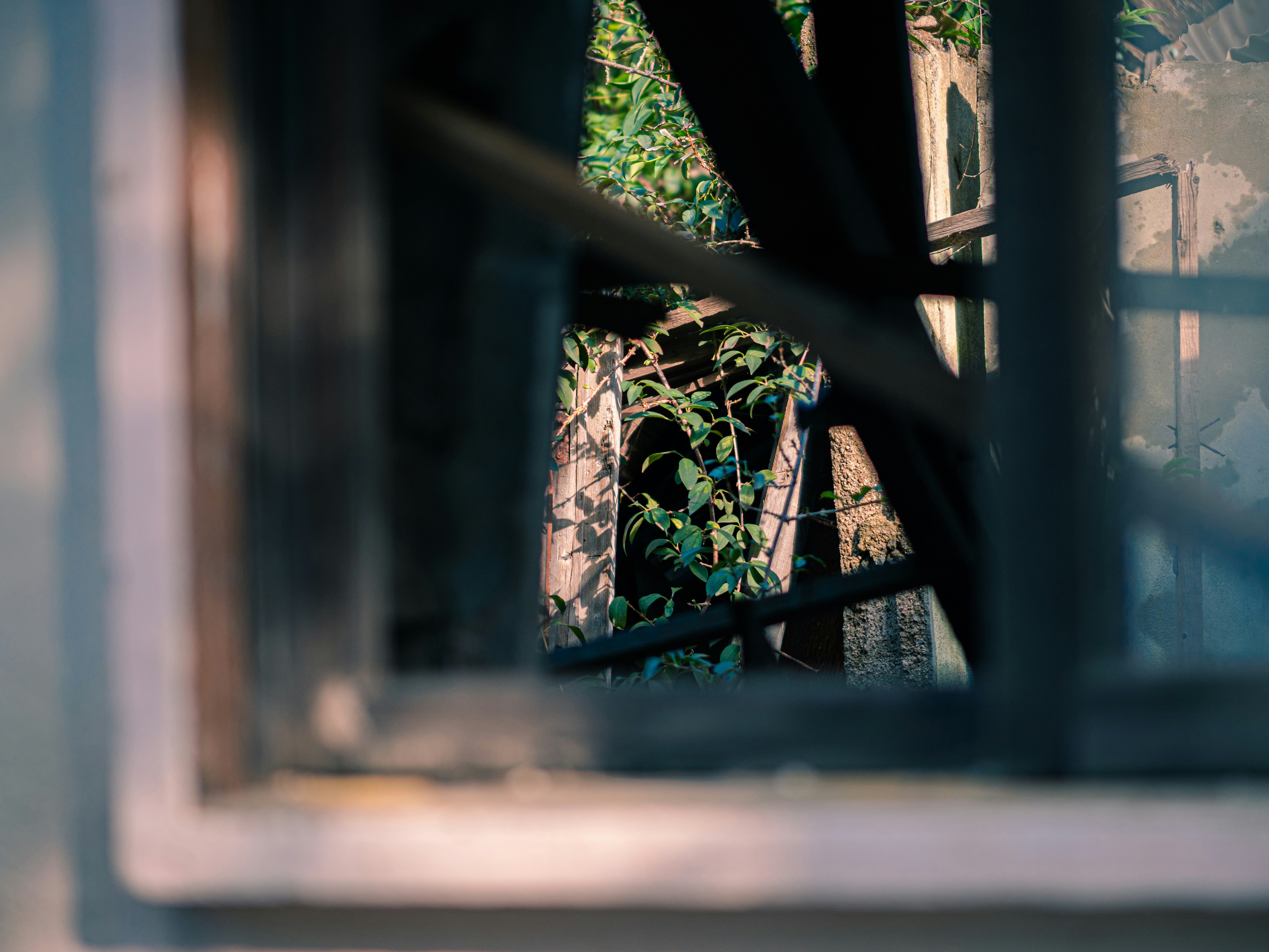 Photo by brother_yoon