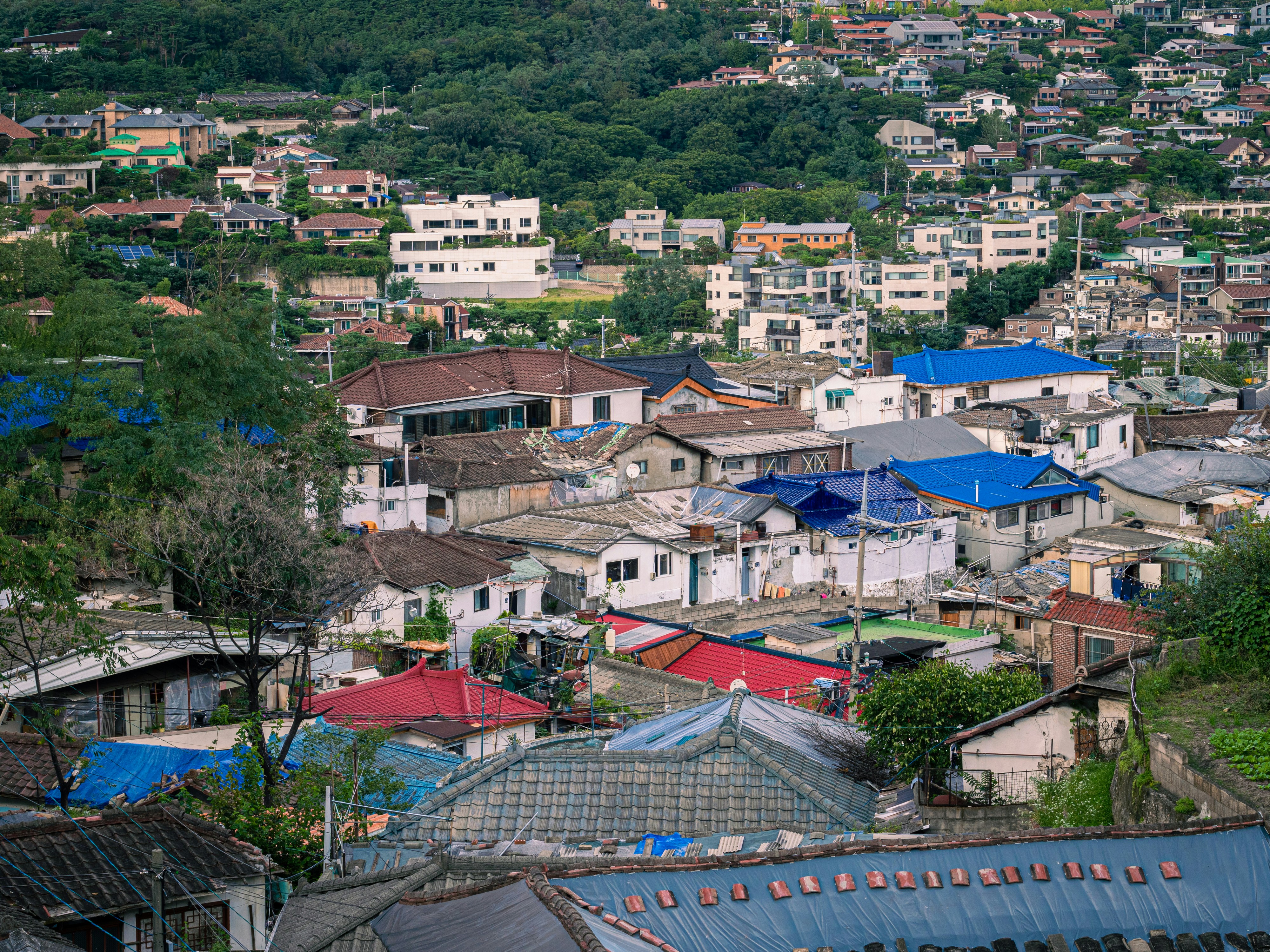 Photo by brother_yoon