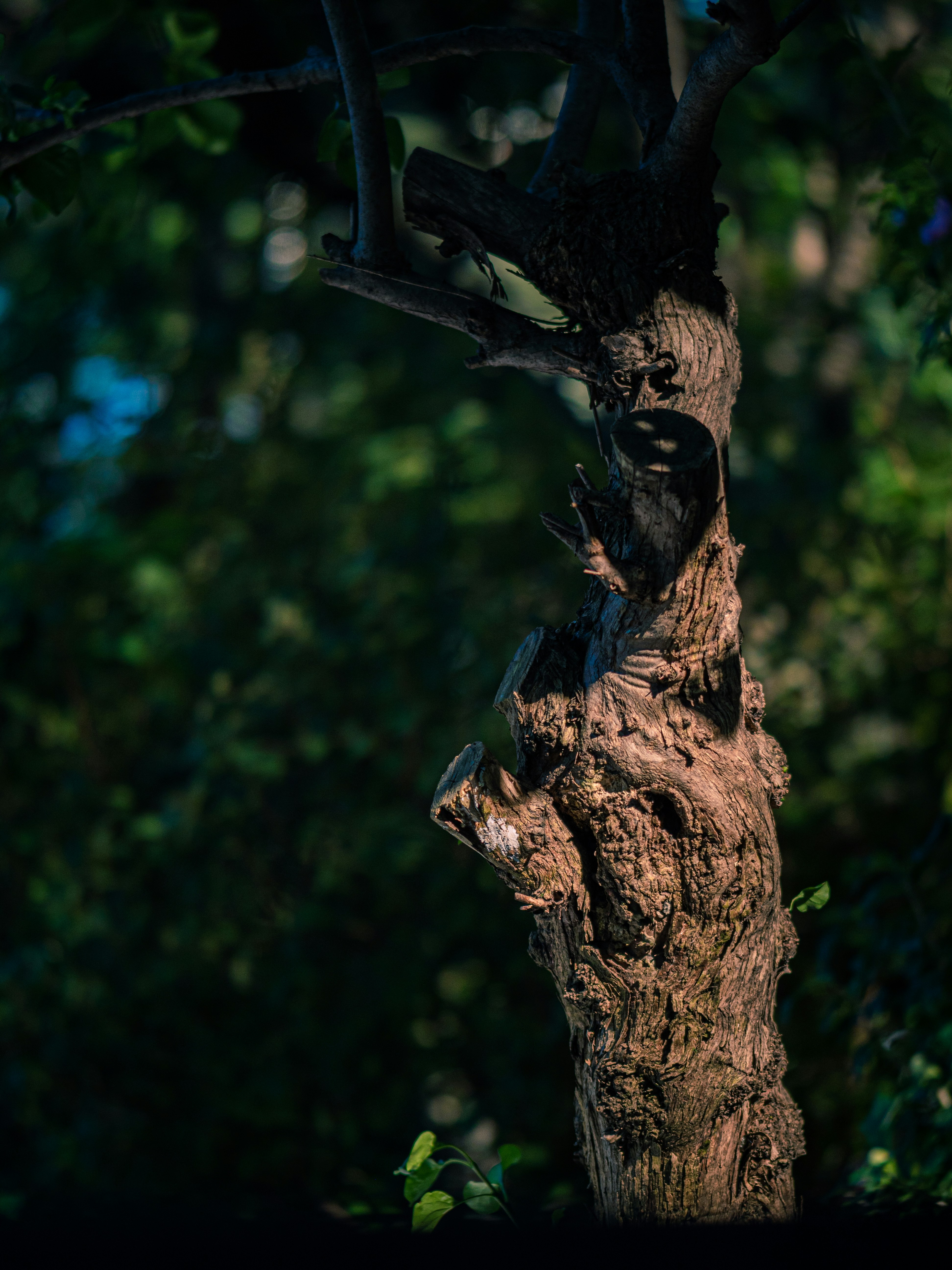 Photo by brother_yoon