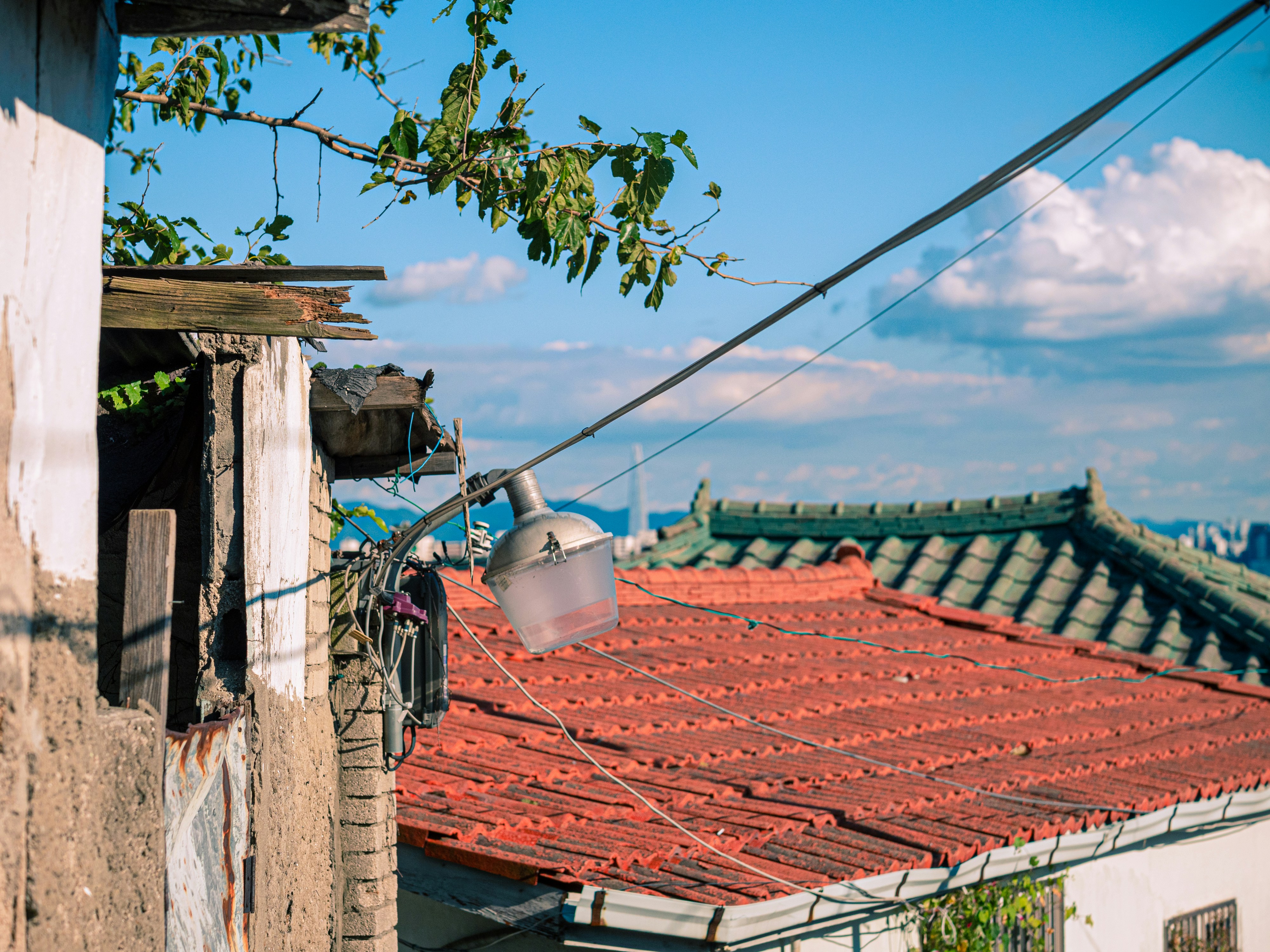 Photo by brother_yoon