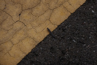 A small, dark caterpillar crawls along a cracked yellow line on rough asphalt pavement.