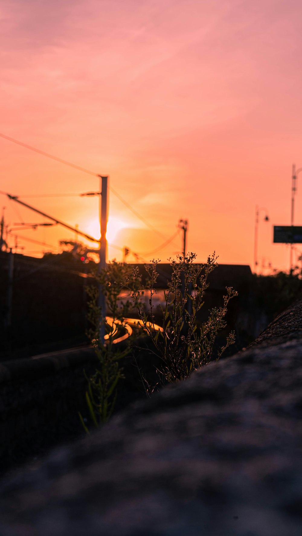 silhouette of electric post during sunset