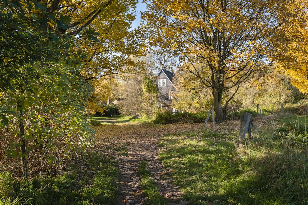 brown and green trees near brown house during daytime