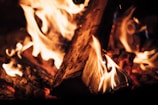 Close-up of flickering flames casting a warm light on rustic wooden logs.