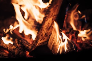 Close-up of a flickering fire casting warm shadows on wooden walls.