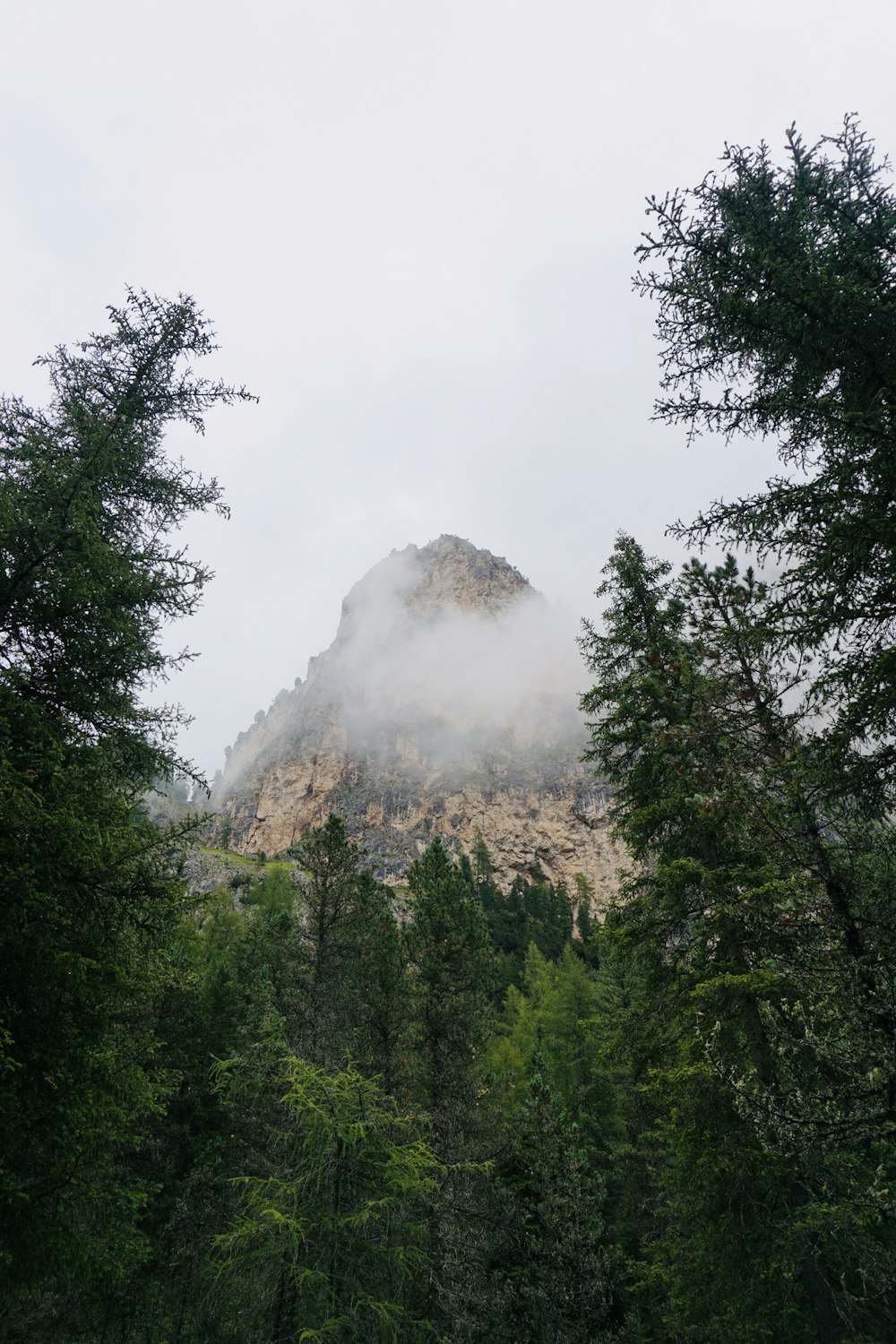 green trees near mountain under white clouds during daytime