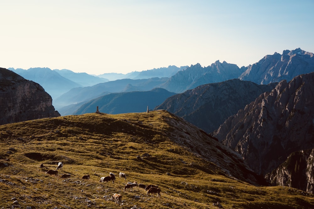 green and brown mountains under white sky during daytime