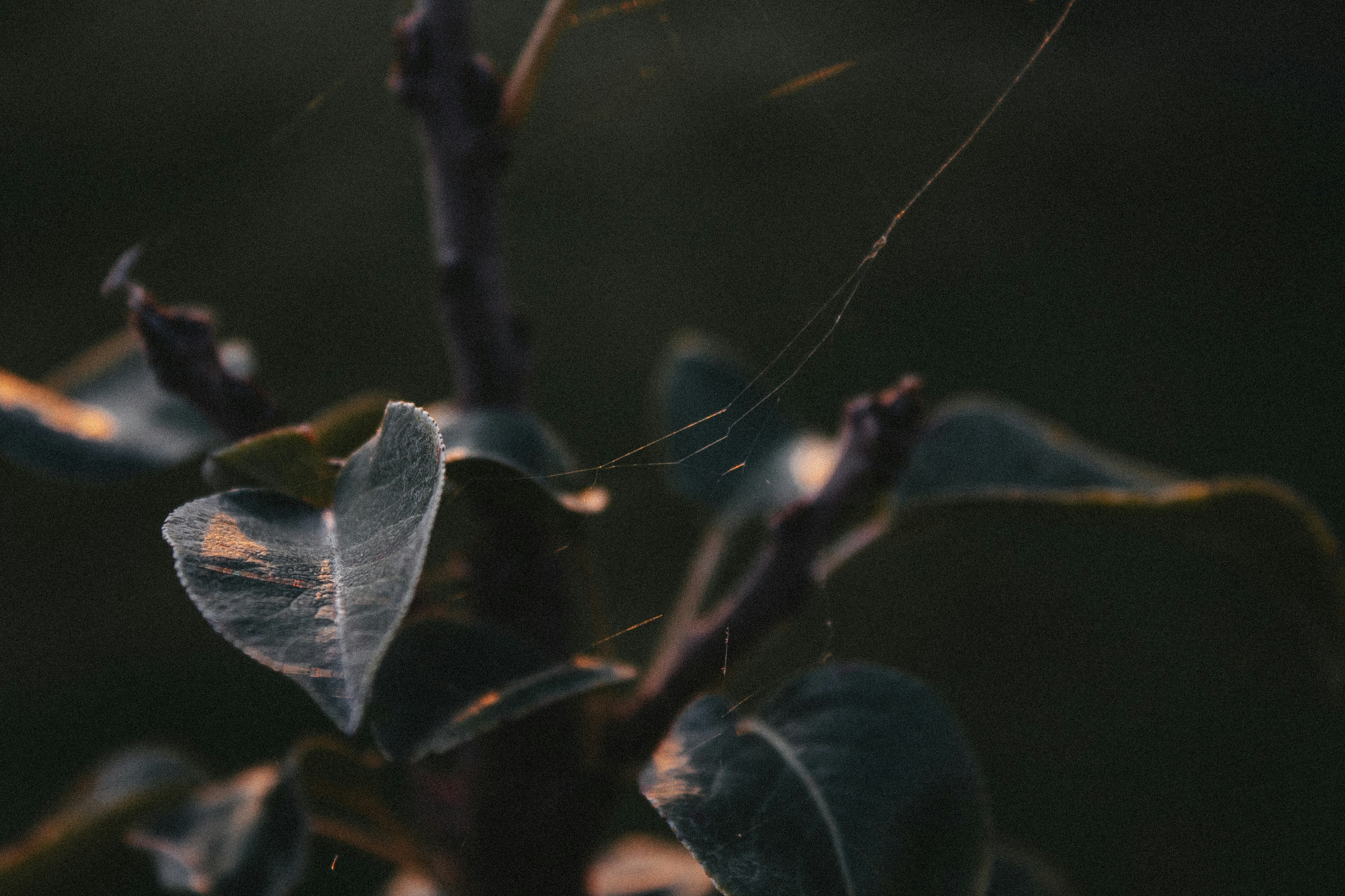 Photo by nastasiakalinina