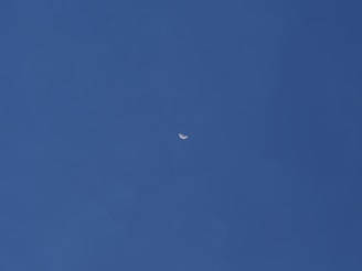 A navy background with a simple astrological chart glowing softly under a starry sky.