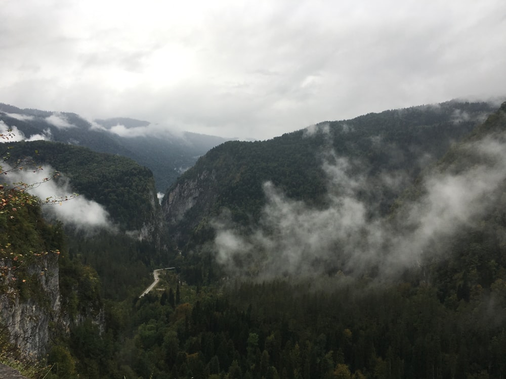 green trees on mountain under white clouds during daytime