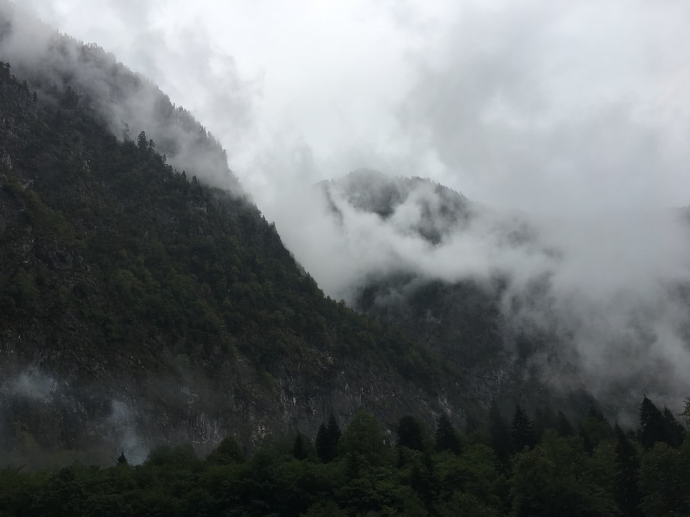 green trees on mountain under white clouds during daytime