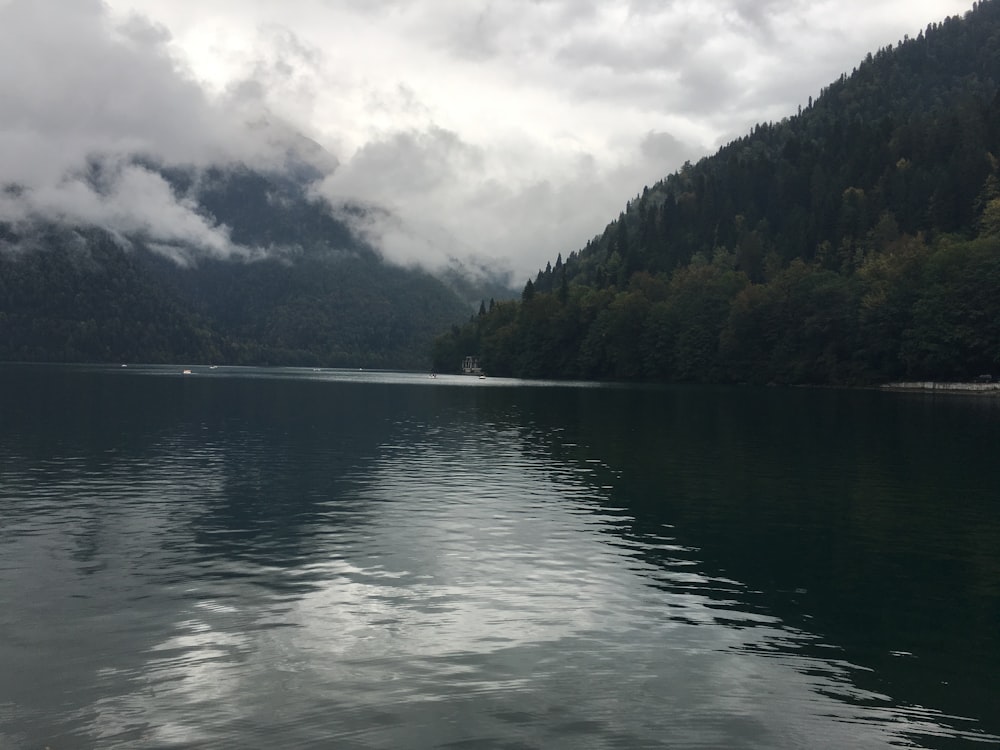 green trees beside body of water under cloudy sky during daytime