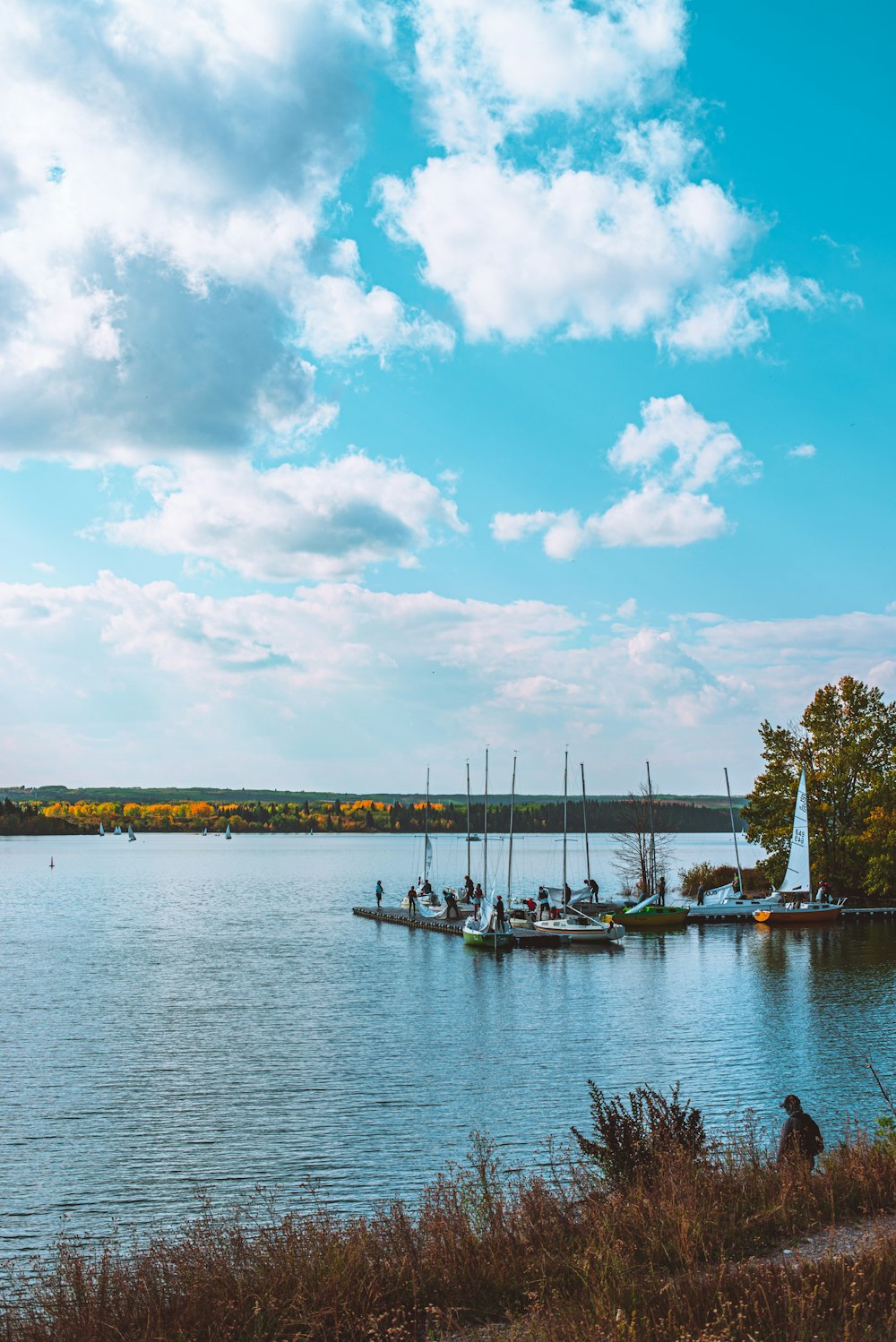 white boat on body of water during daytime