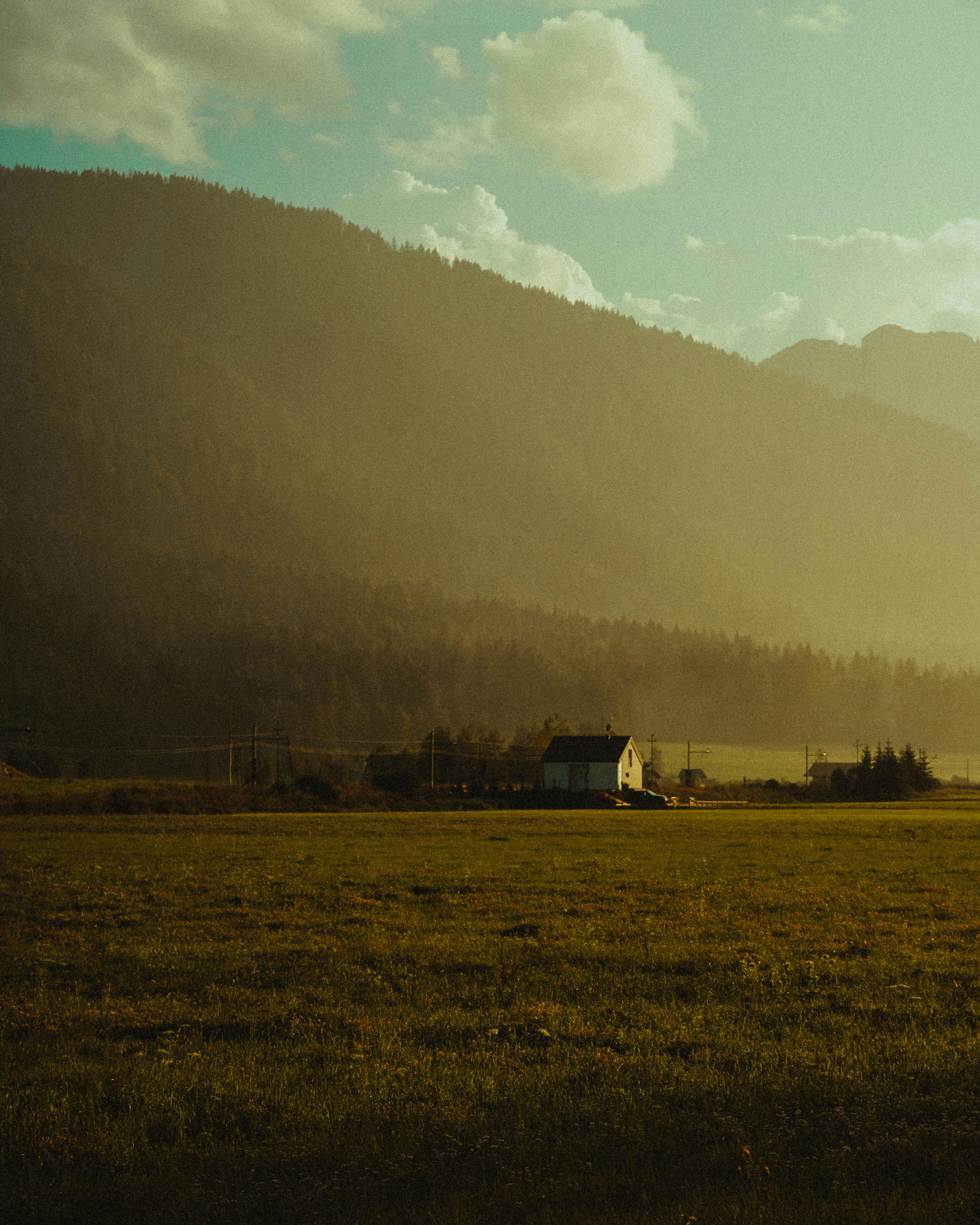 Photo by andreaferrario